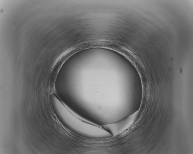 X0000086301402200704271815