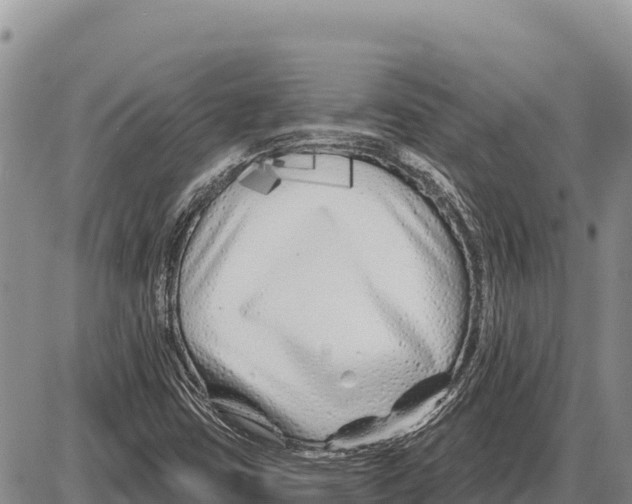 X0000086301403200704271815