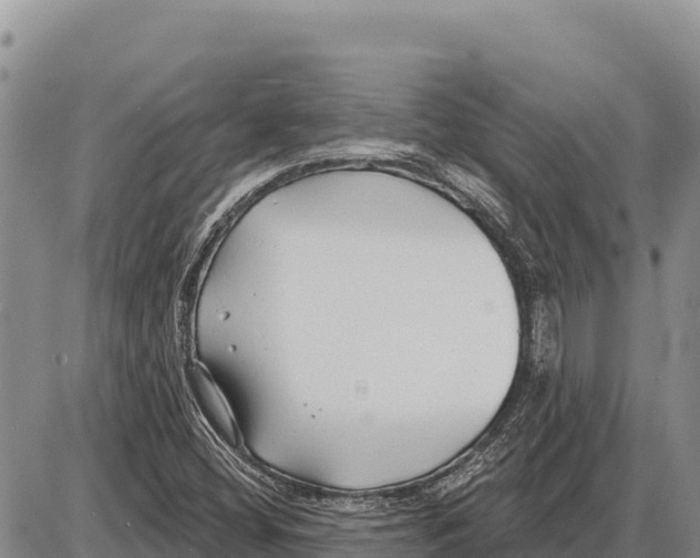 X0000086301404200704271815