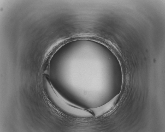 X0000086301406200704271815