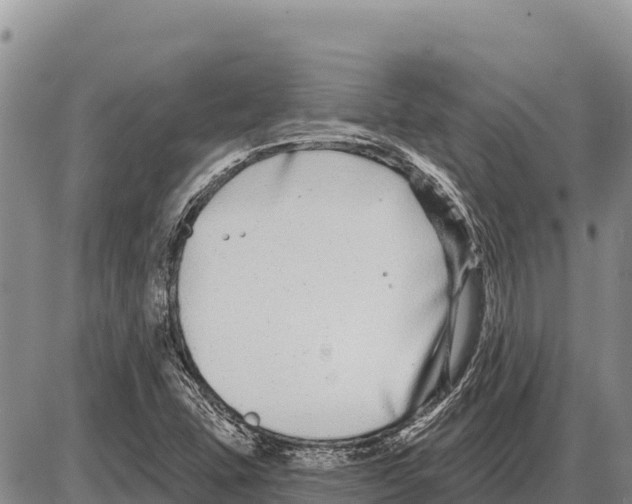 X0000086301407200704271815