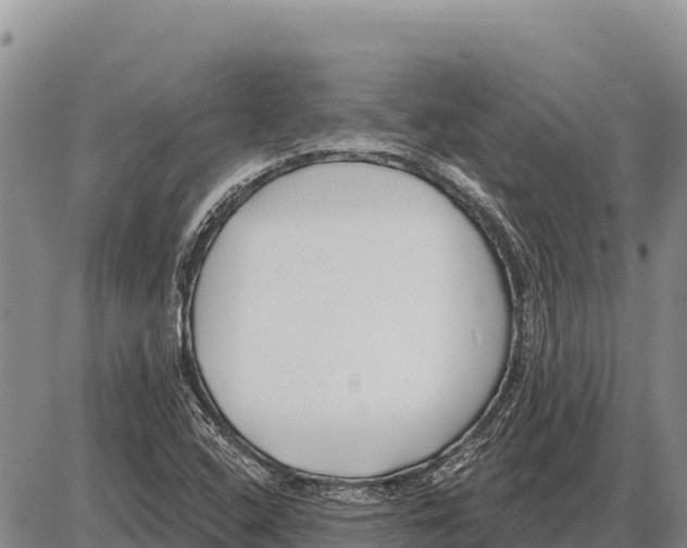 X0000086301408200704271815