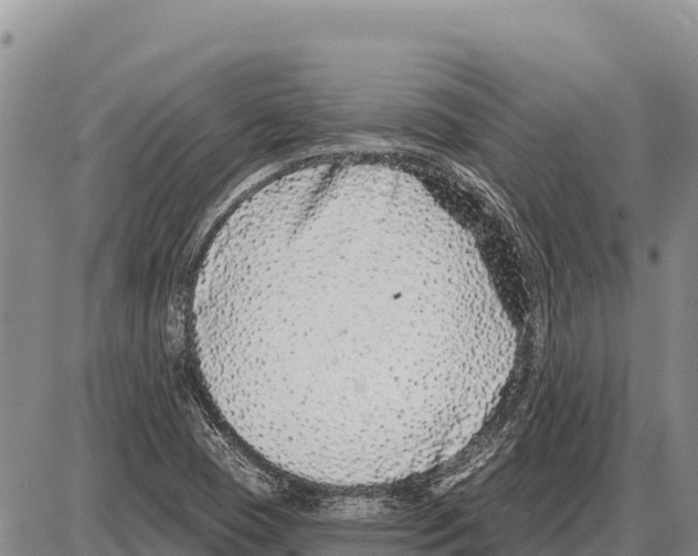 X0000086301409200704271815