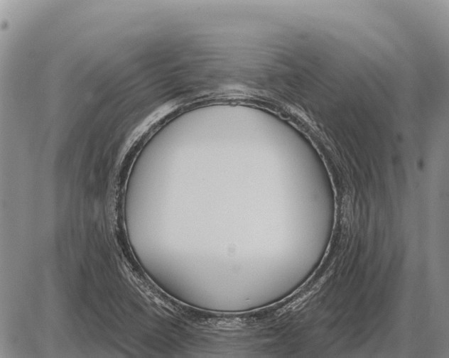 X0000086301410200704271815