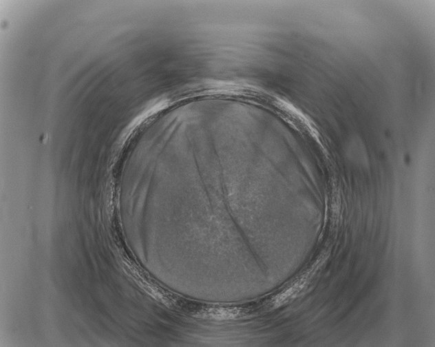 X0000086301411200704271815