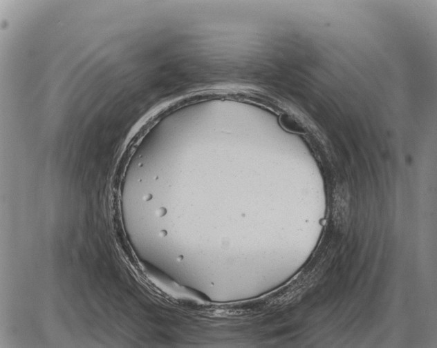 X0000086301412200704271815