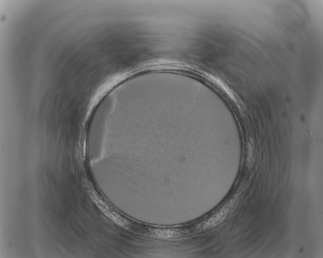 X0000086301413200704271815