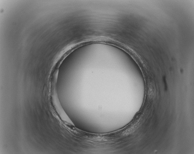 X0000086301414200704271815