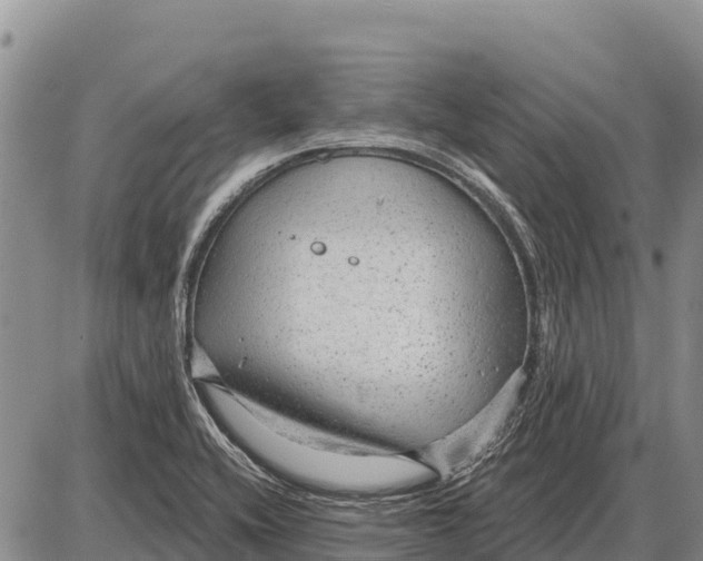 X0000086301416200704271815