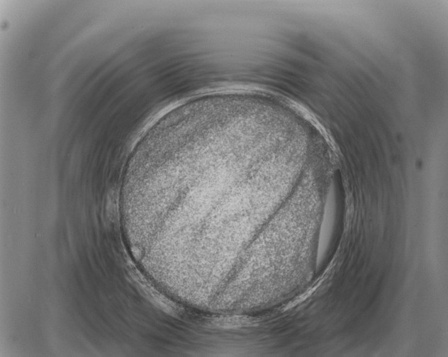 X0000086301417200704271816