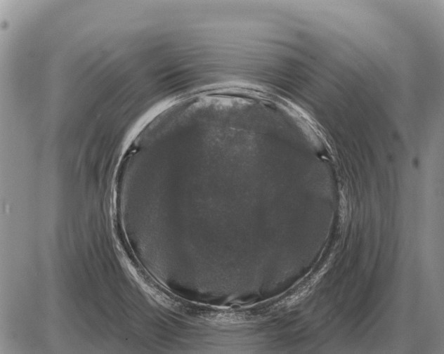 X0000086301418200704271816