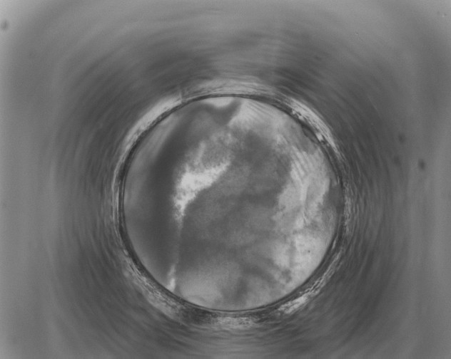 X0000086301419200704271816