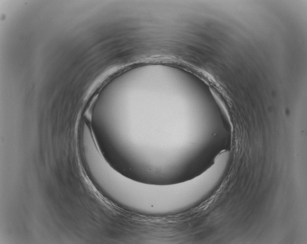 X0000086301422200704271816