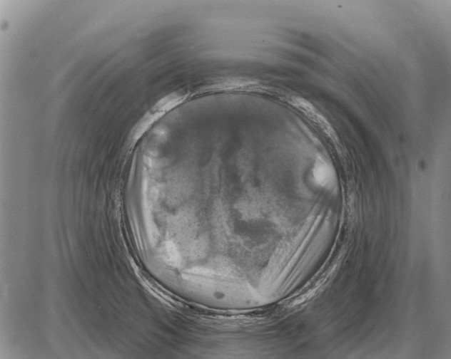 X0000086301425200704271816