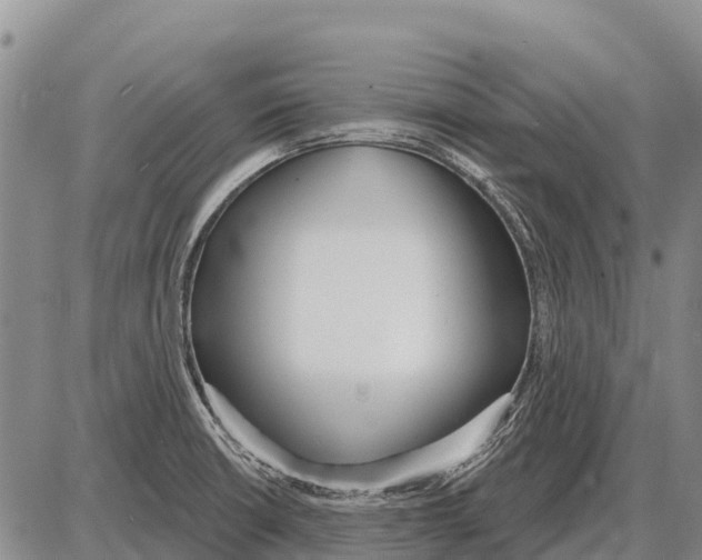 X0000086301426200704271816