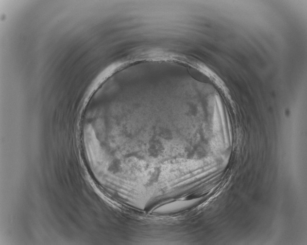 X0000086301429200704271816