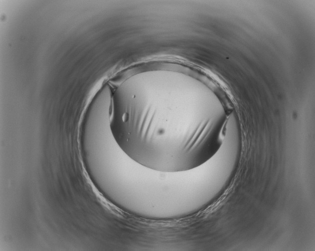 X0000086301430200704271816