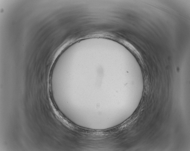 X0000086301431200704271816