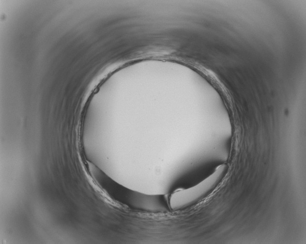 X0000086301432200704271816