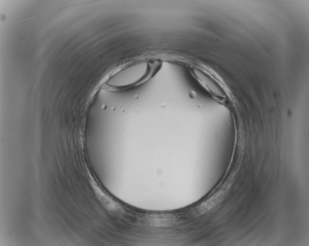 X0000086301433200704271816