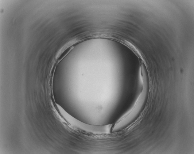 X0000086301434200704271816