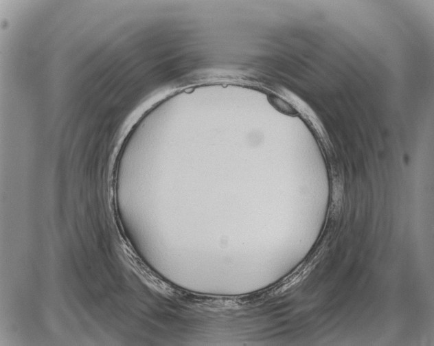 X0000086301435200704271816