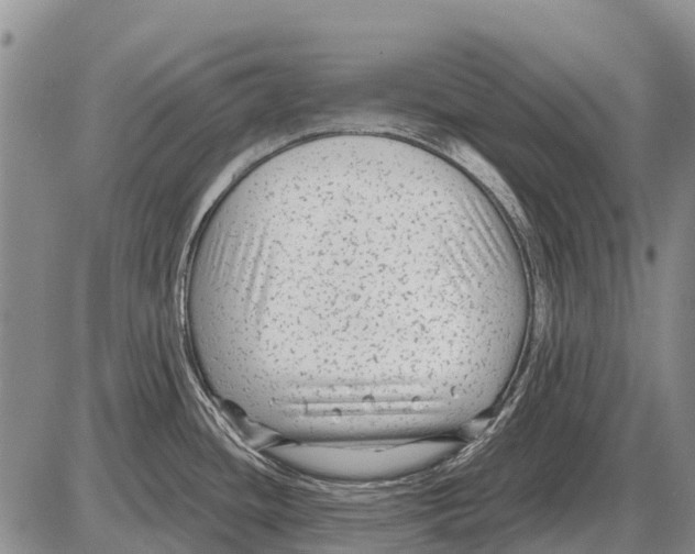 X0000086301436200704271816