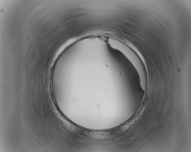 X0000086301437200704271816