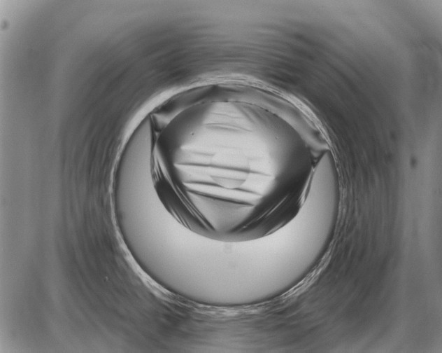 X0000086301438200704271816