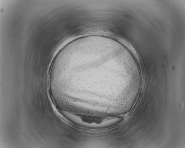 X0000086301439200704271816