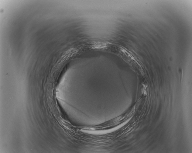 X0000086301441200704271815