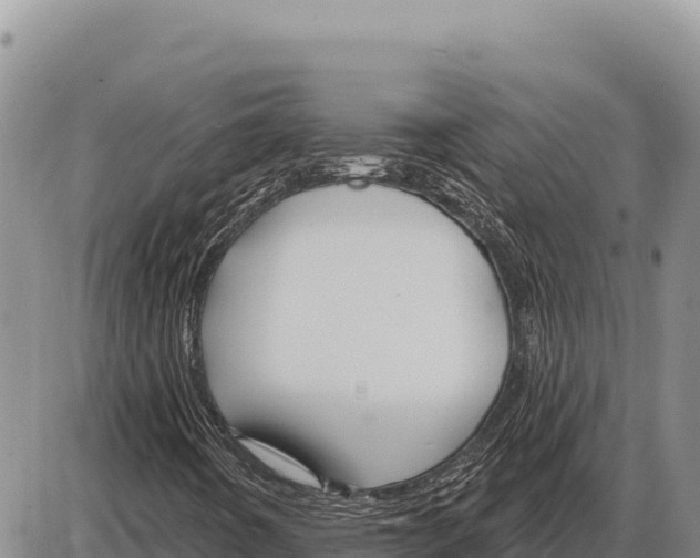 X0000086301442200704271815