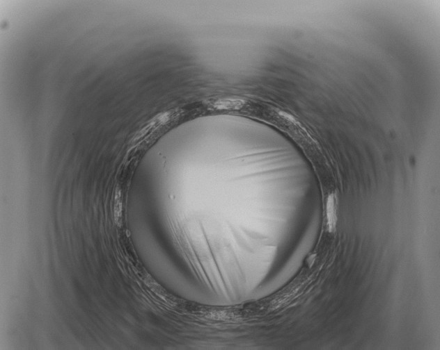 X0000086301443200704271815