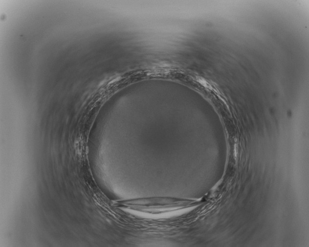 X0000086301445200704271815