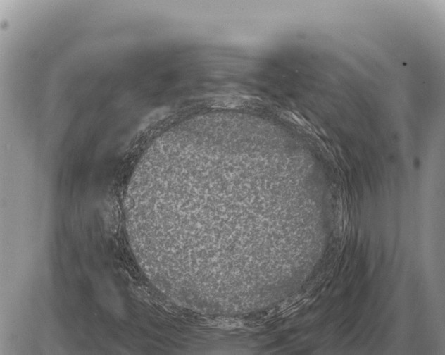 X0000086301446200704271815