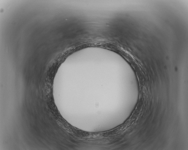 X0000086301447200704271815