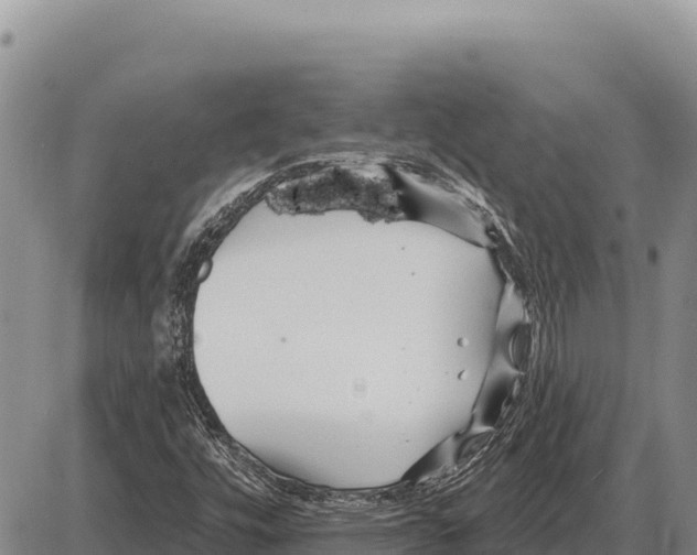 X0000086301448200704271815