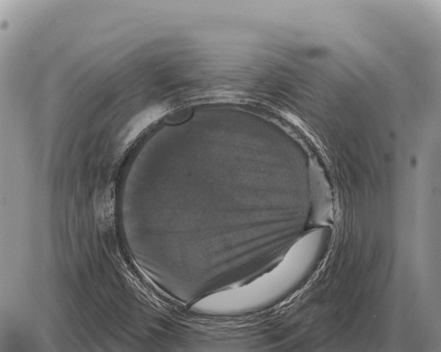 X0000086301450200704271815