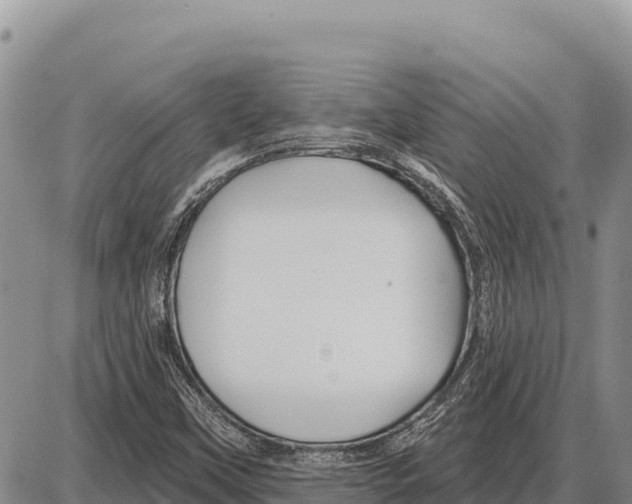 X0000086301451200704271815