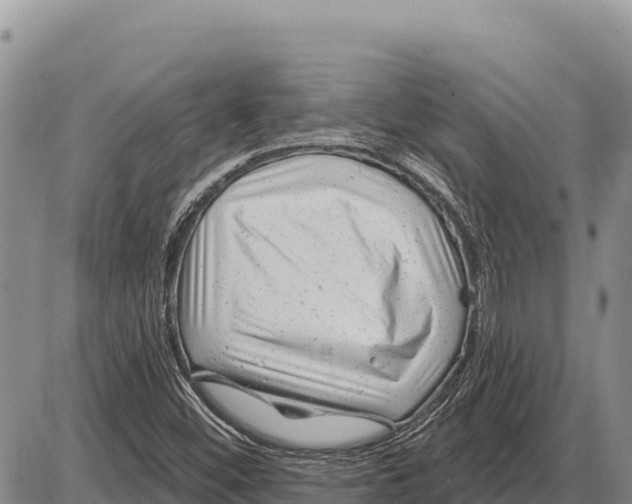 X0000086301452200704271815