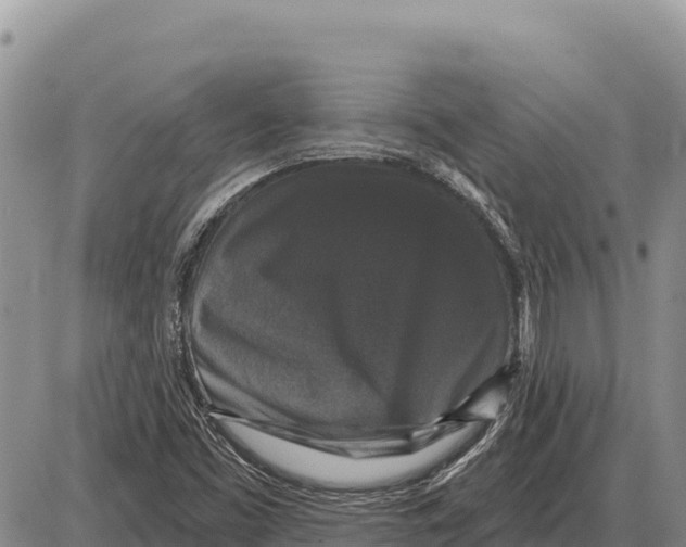 X0000086301453200704271815