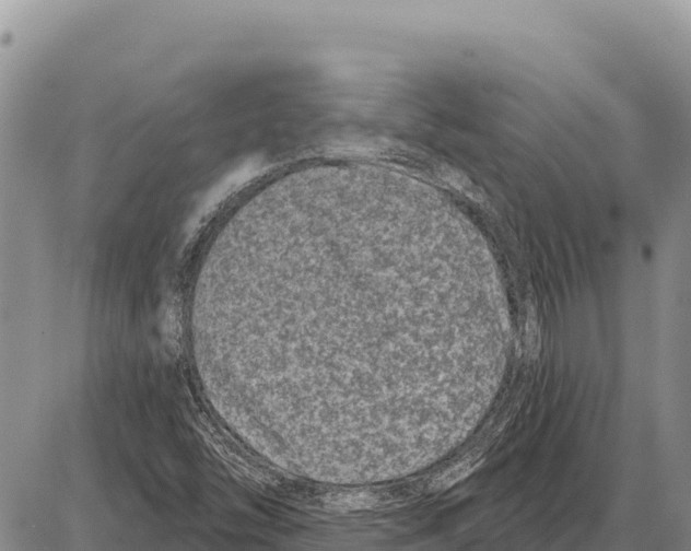 X0000086301454200704271815