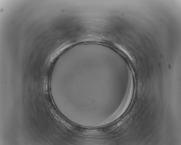 X0000086301455200704271815