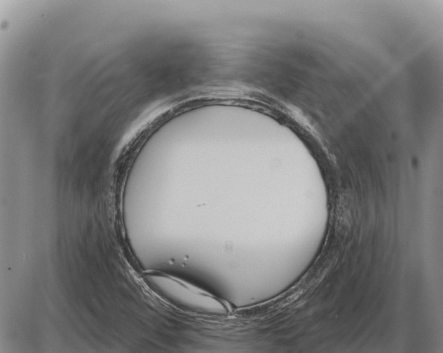 X0000086301456200704271815