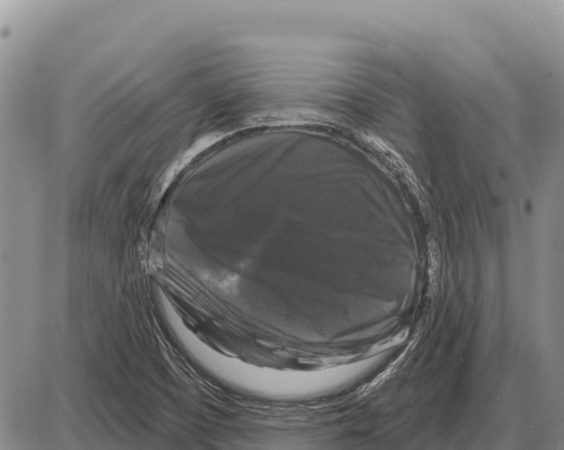 X0000086301457200704271815