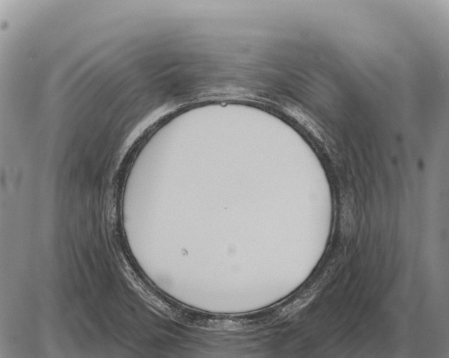 X0000086301458200704271815