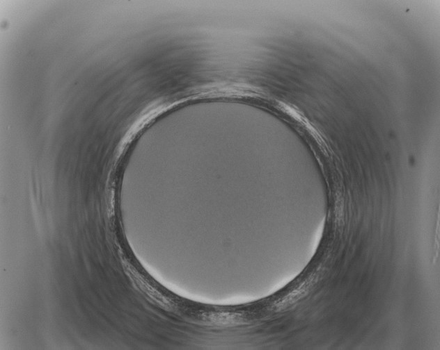 X0000086301459200704271815