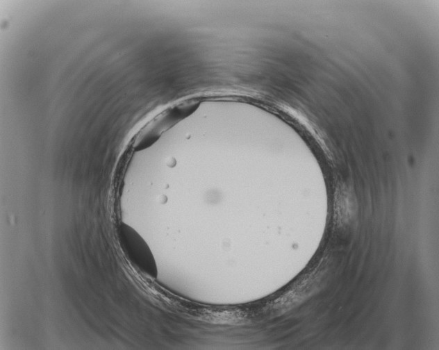 X0000086301460200704271815