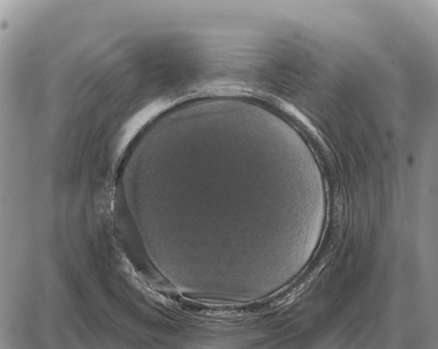 X0000086301461200704271815