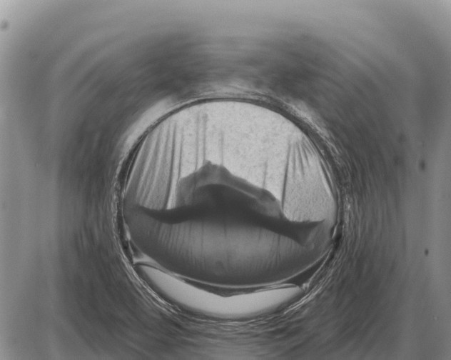 X0000086301463200704271815